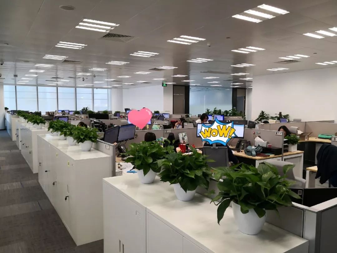 乔迁啦!级掌柜新办公室长啥样?快来抢先参观~
